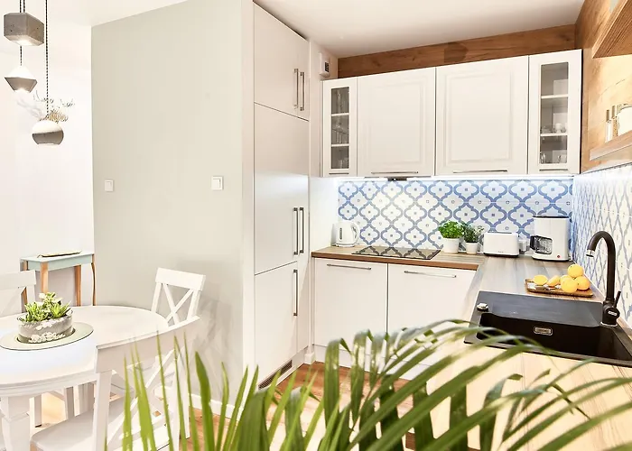 Mojito - Botanica Ii Wrocław