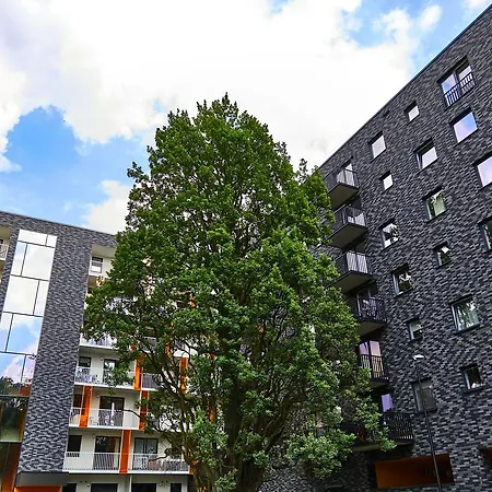 Apartament Mojito - Botanica Ii *